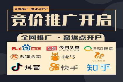 高效SEM托管服务：成功案例深度解析